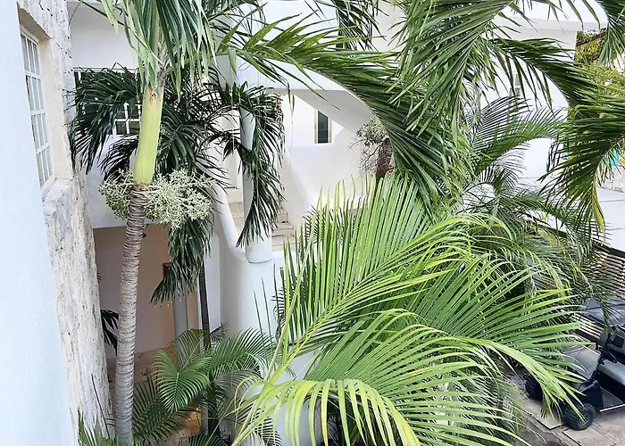 Nasim Con Acceso Club Gratis, Metros 5th Avenida Appart hôtel Playa del Carmen
