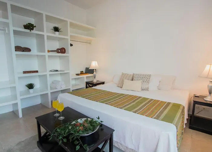 Nasim Con Acceso Club Gratis, Metros 5th Avenida Playa del Carmen
